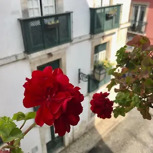 Appartamento In The Heart Of, Lisbona